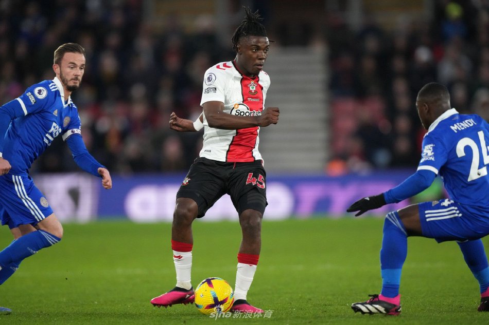 能性很高 能性很高